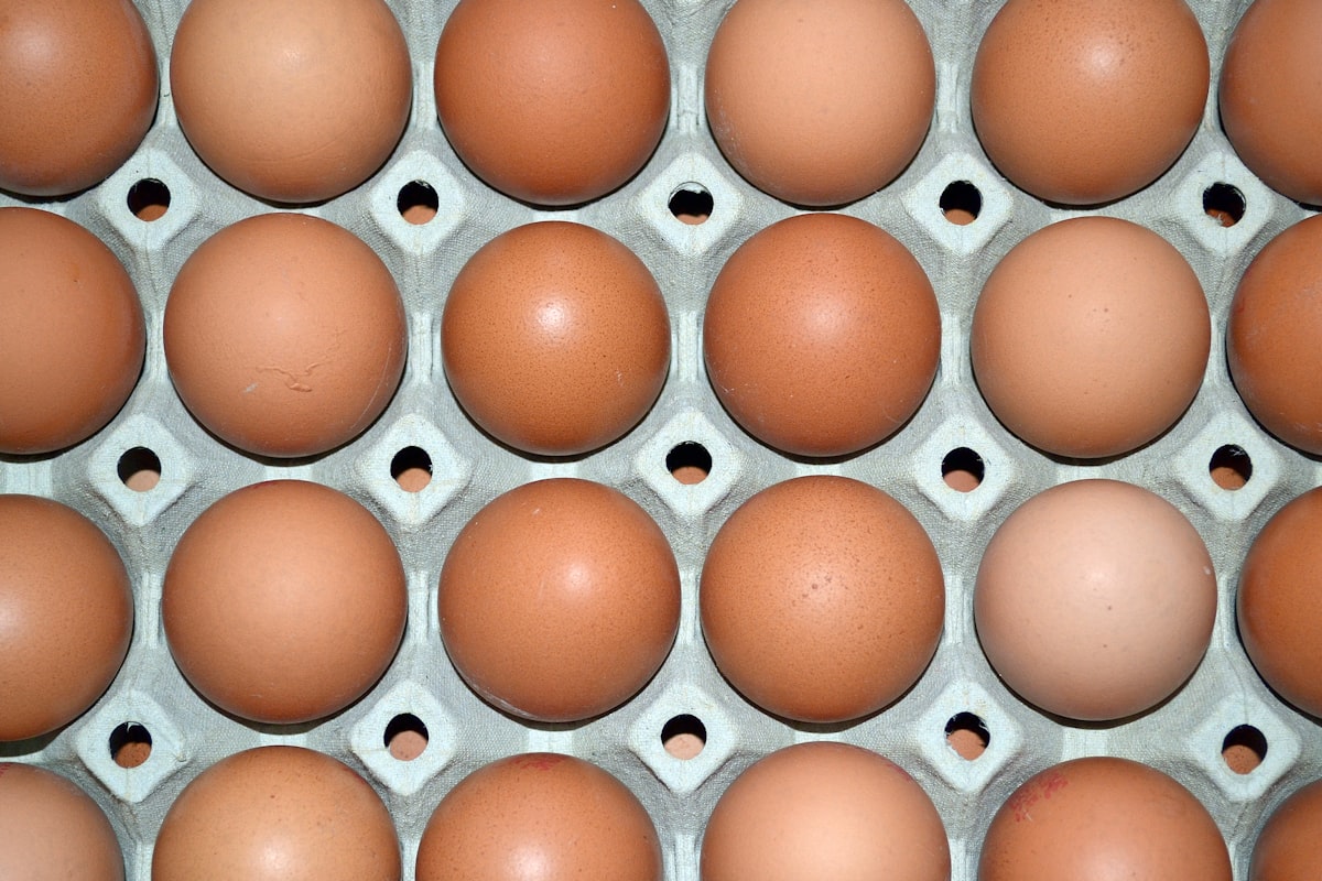 Small eggs